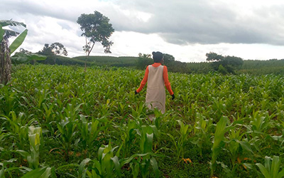 Nanziri Fatuma Wamala at Katereke village, Kibibi Sub-county, Butambala District